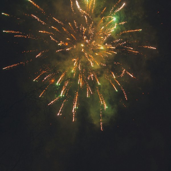 Feux d'artifice : Éclats de lumière dans la nuit